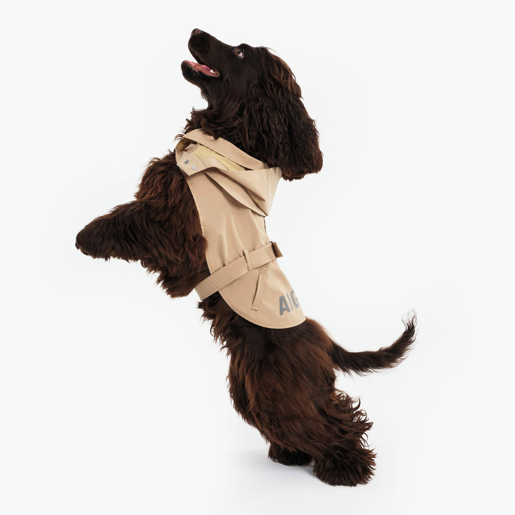 Aigle Pet Trench Coat