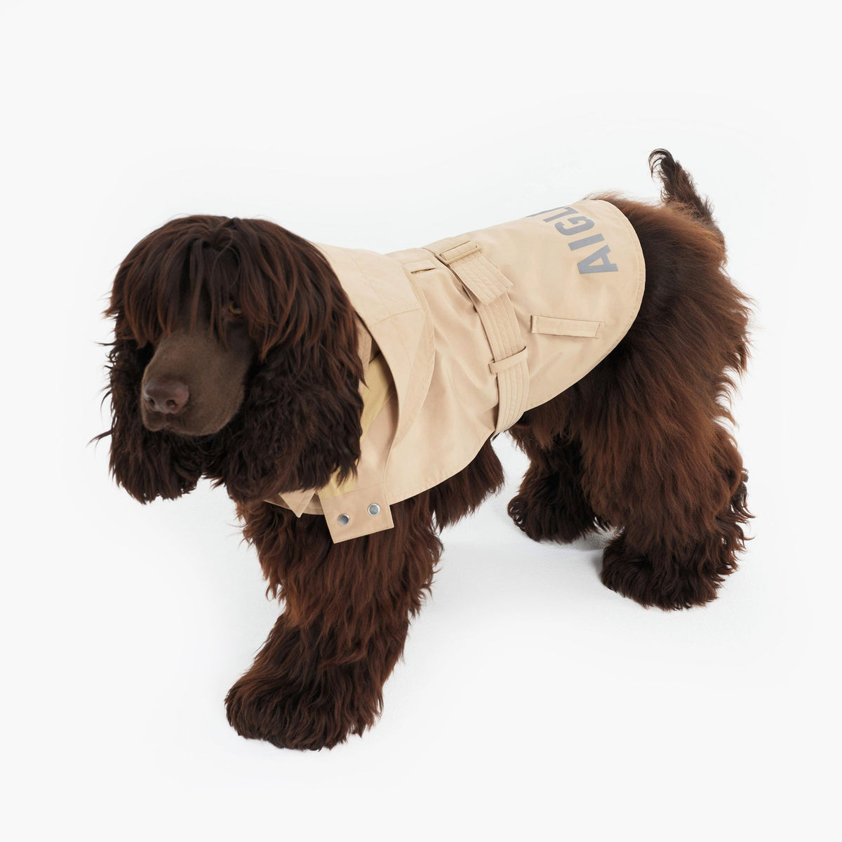 Aigle Pet Trench Coat