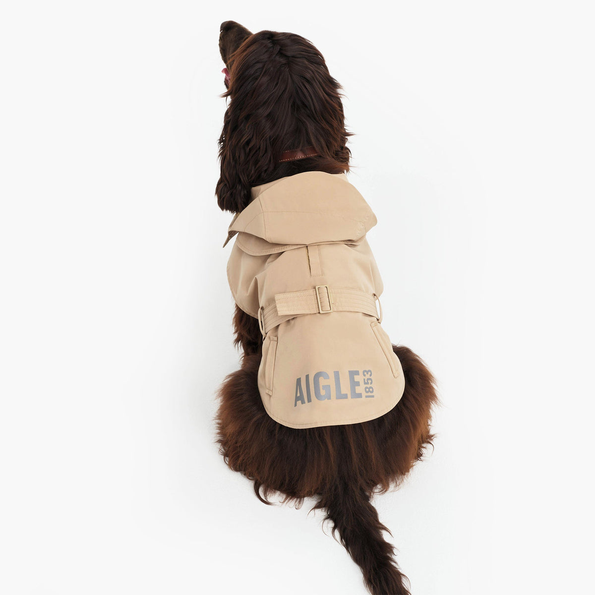 Aigle Pet Trench Coat