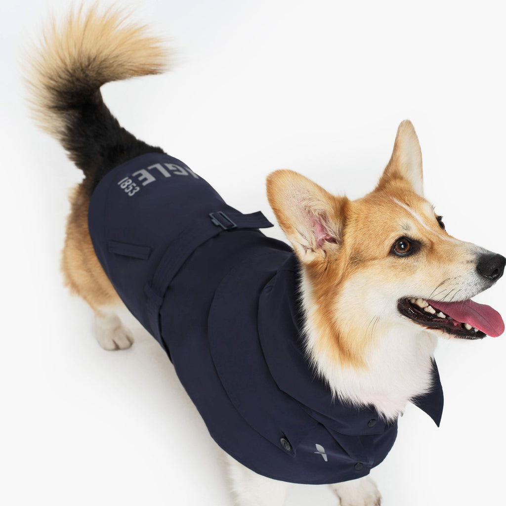 Aigle Pet Trench Coat