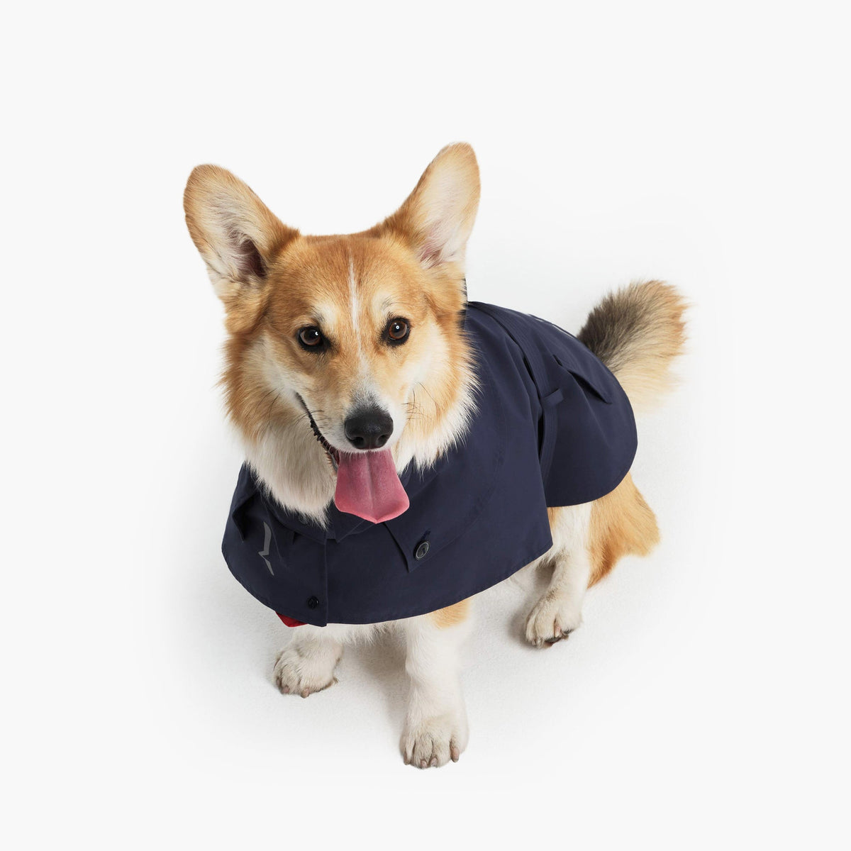 Aigle Pet Trench Coat
