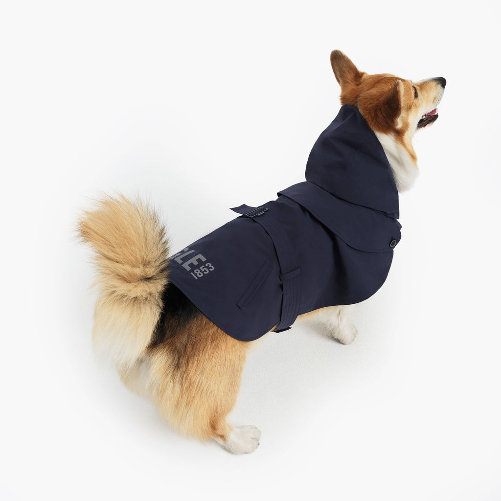 Aigle Pet Trench Coat