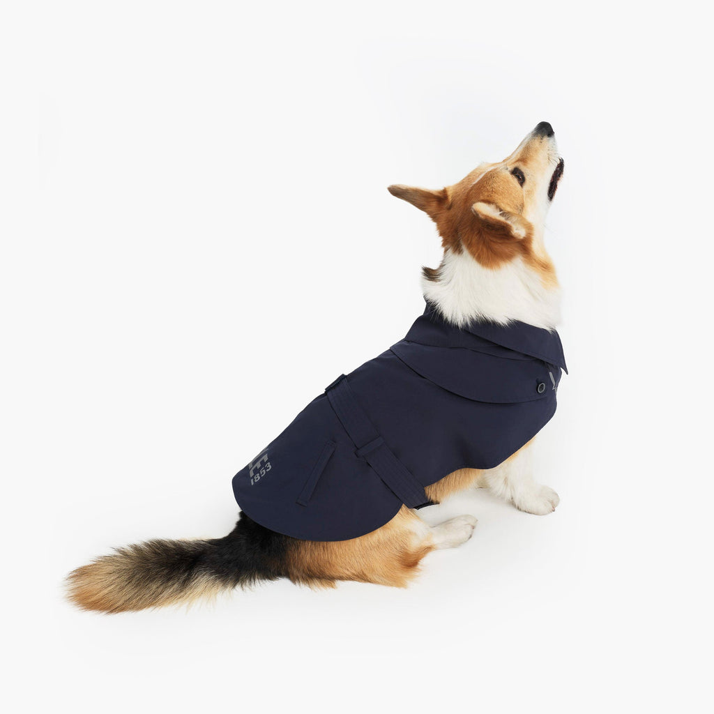 Aigle Pet Trench Coat