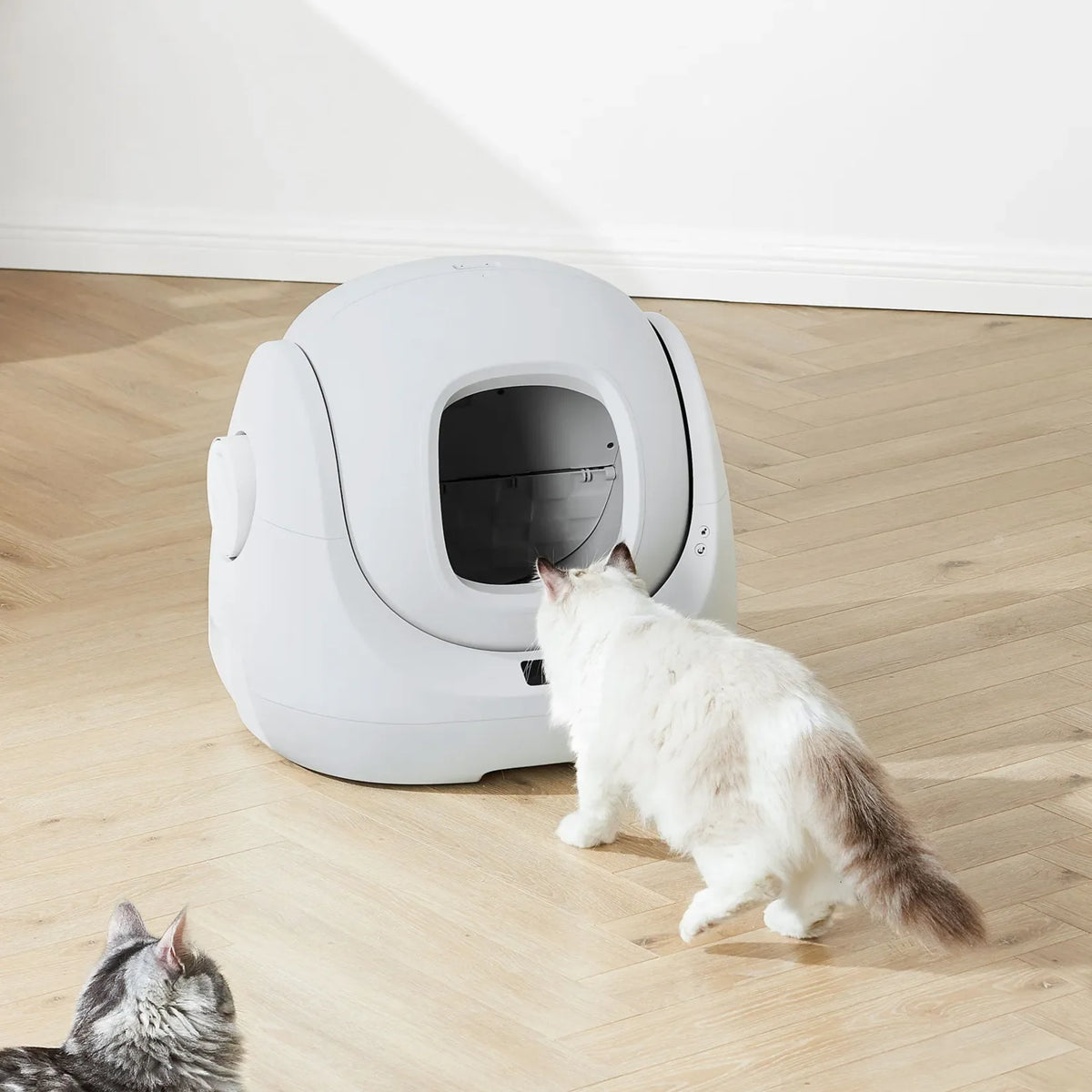 CATLINK Smart Litter Box - Scooper SE Lite