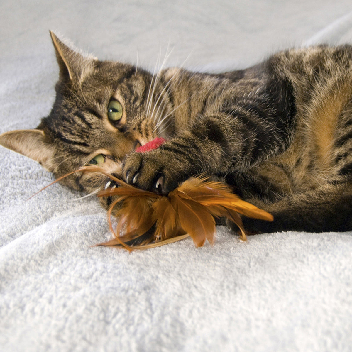 Naturals Crinkle Ball w/Feathers Assorted