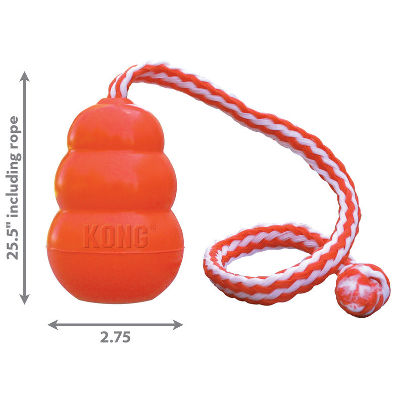 KONG® Aqua - Large