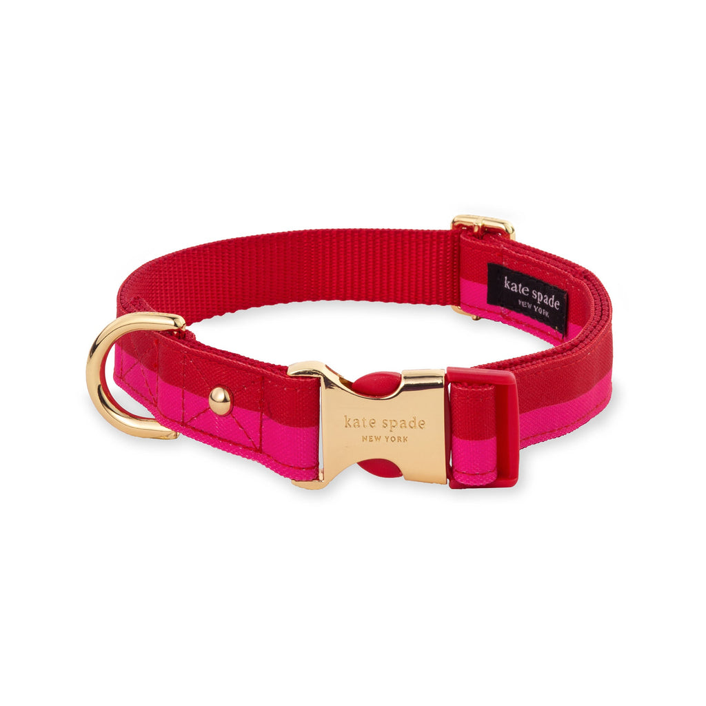 Kate Spade New York Colorblock Collar