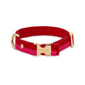 Kate Spade New York Colorblock Collar