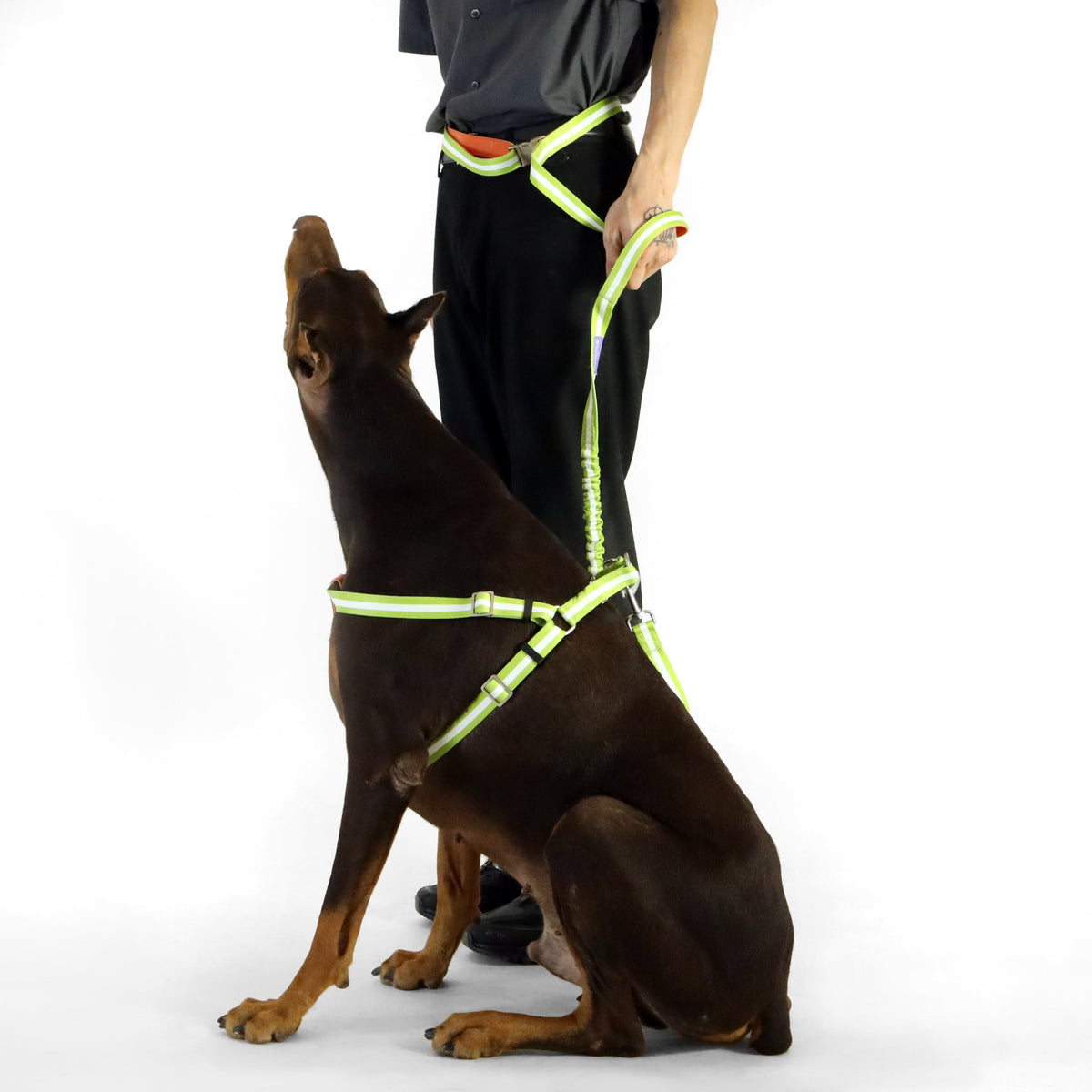 florence by mills Crossbody Dog Leash