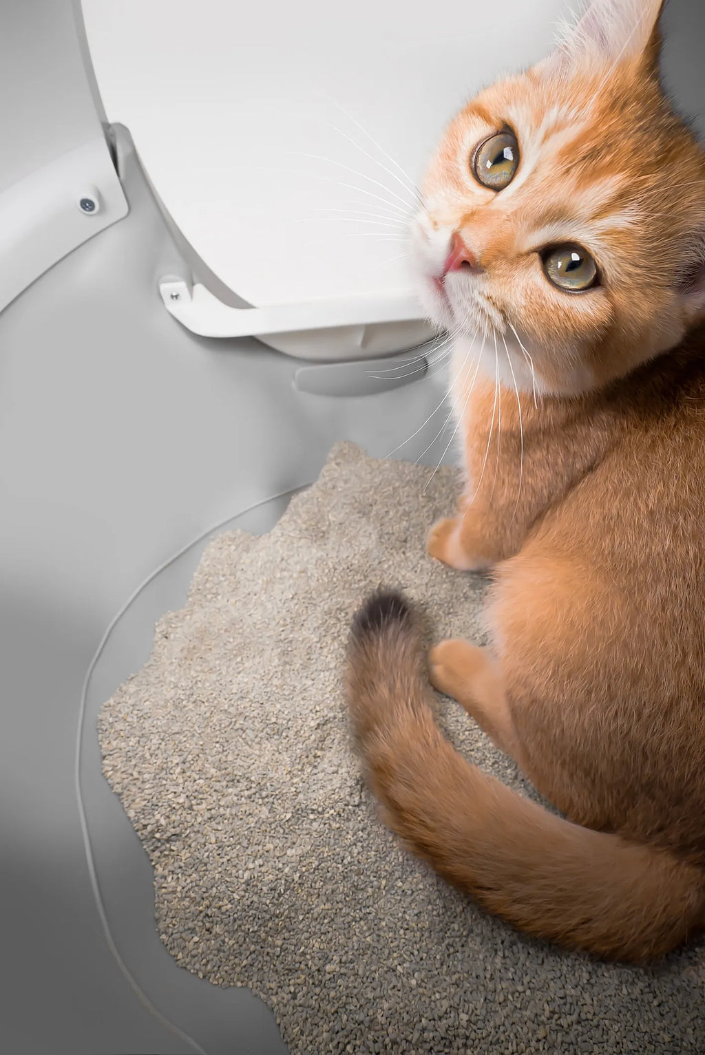CATLINK AI 5GHz Camera Cat Litter Box - Scooper Pro Ultra Ramp Set