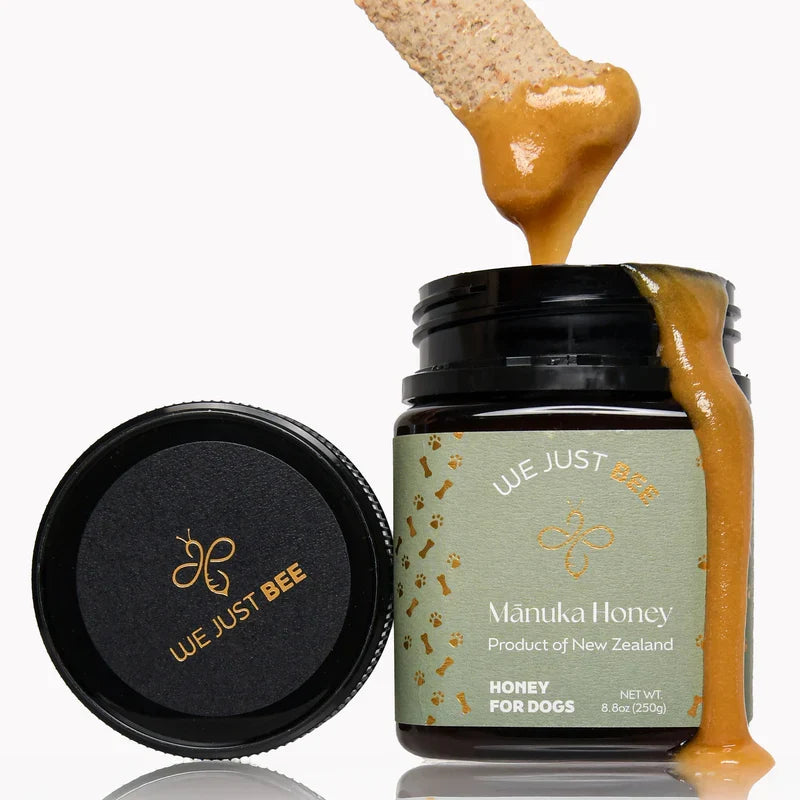 We Just Bee MGO250+ Manuka Honey for Dogs 250g | Immunity & Gut Health | New Zealand