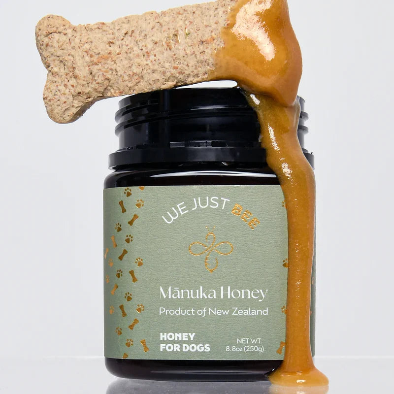We Just Bee MGO250+ Manuka Honey for Dogs 250g | Immunity & Gut Health | New Zealand
