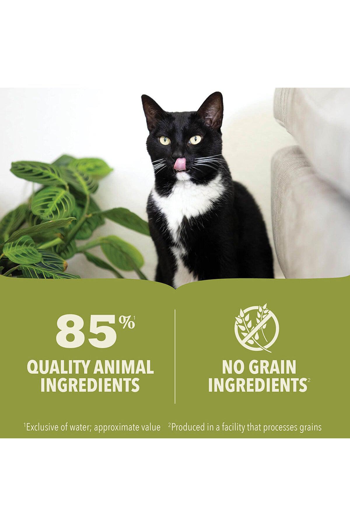 Acana Premium Pate Chicken and Tuna Wet Kitten Food