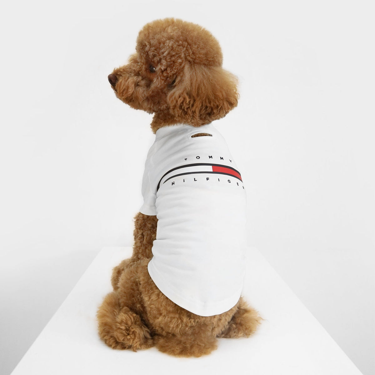 Tommy Hilfiger Tino Tee | Designer Dog T-Shirt