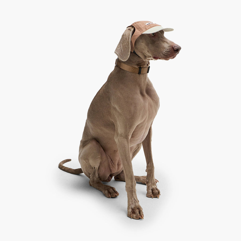 BOSS Dog City Hat — Designer Sun Hat for Dogs