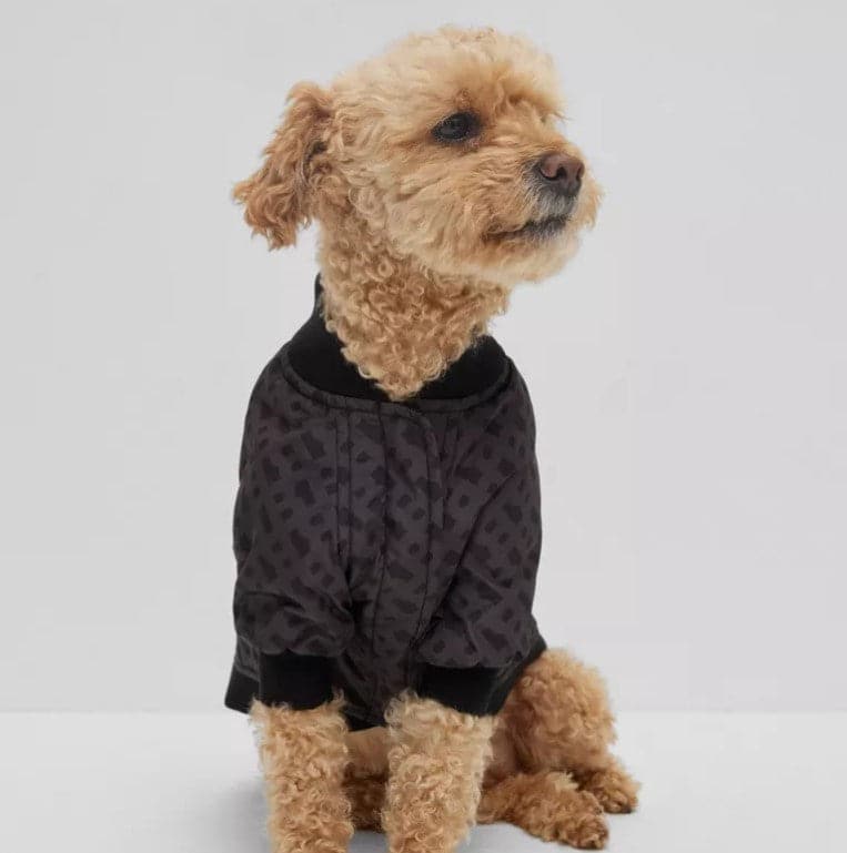 BOSS Dog Bomber Jacket — Luxury Padded Dog Jacket