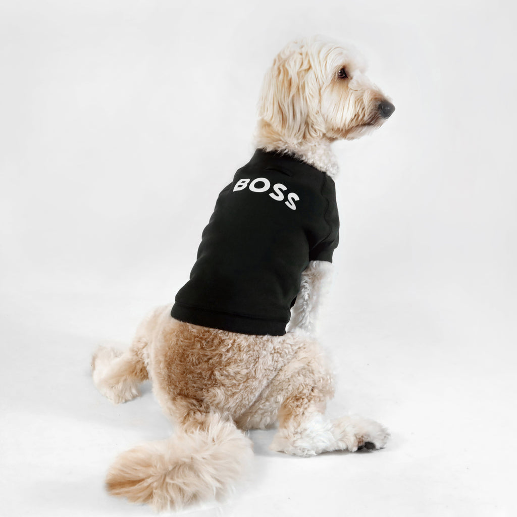 Dog Essentials Cotton Sweater
