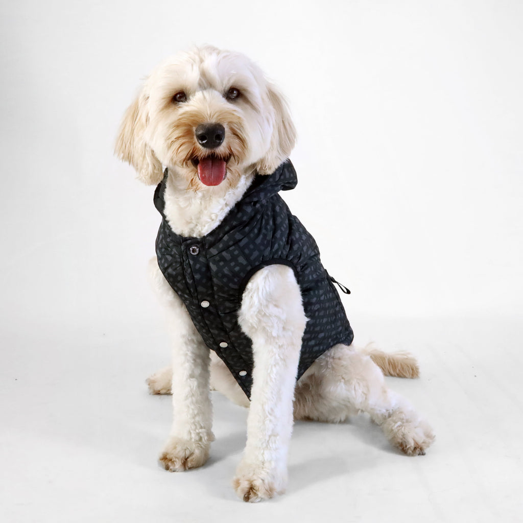 Dog Padded Vest