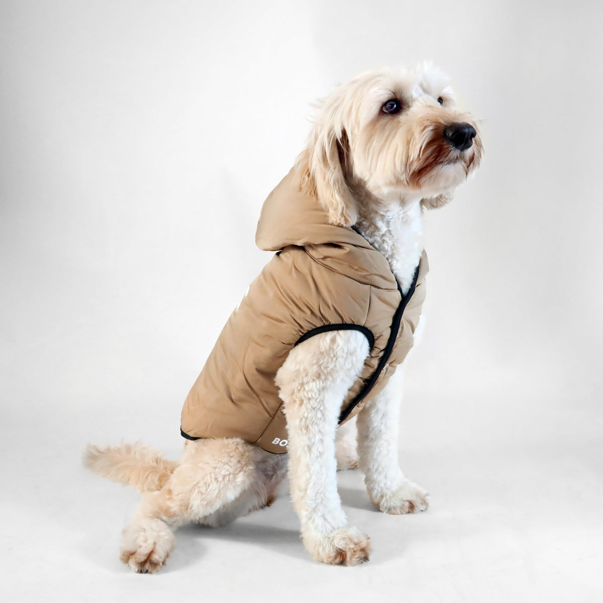 BOSS Dog Essentials Vest — Premium Polyester Dog Vest
