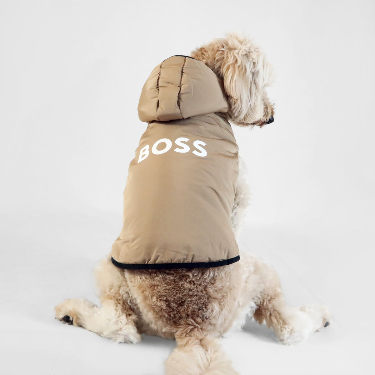 BOSS Dog Essentials Vest — Premium Polyester Dog Vest