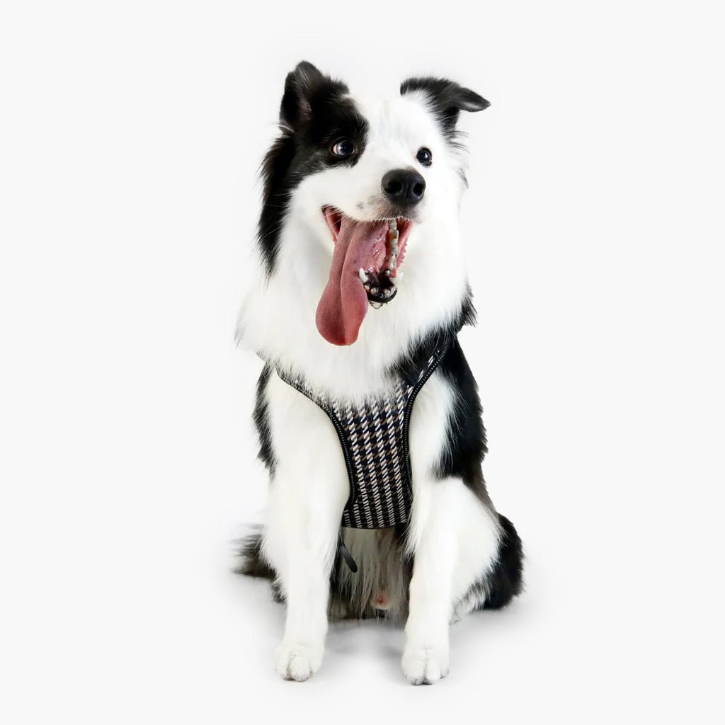 BOSS Dog Harness — 4-Way Adjustable Dog Harness with Zipper Pocket
