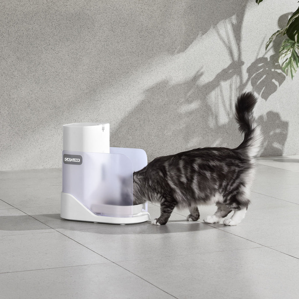 CATLINK Multi-Cat Recognition Automatic Feeder - Facelink Double Set