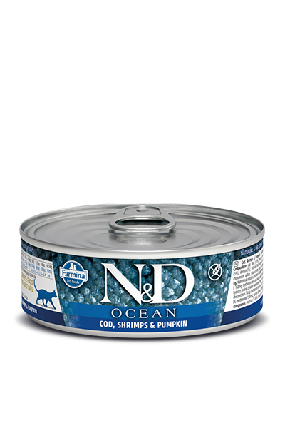 Farmina N&D Ocean Cod, Shrimp, and Pumpkin Stew Wet Cat Food