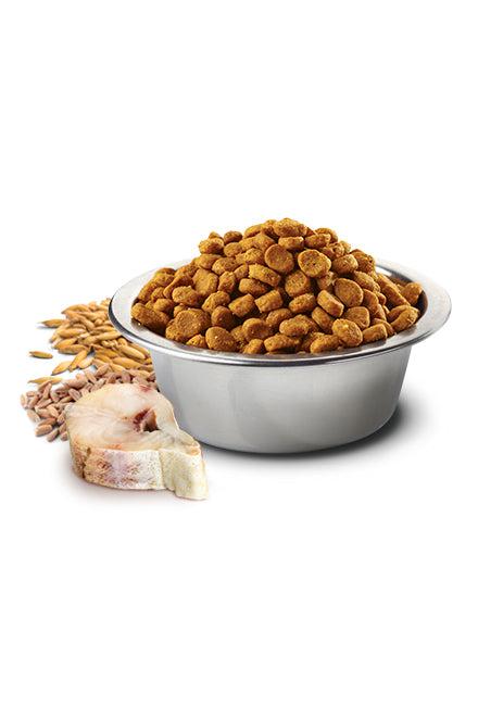 Farmina N&D Ocean Cod, Spelt, Oats, and Orange Med/Maxi Dry Dog Food