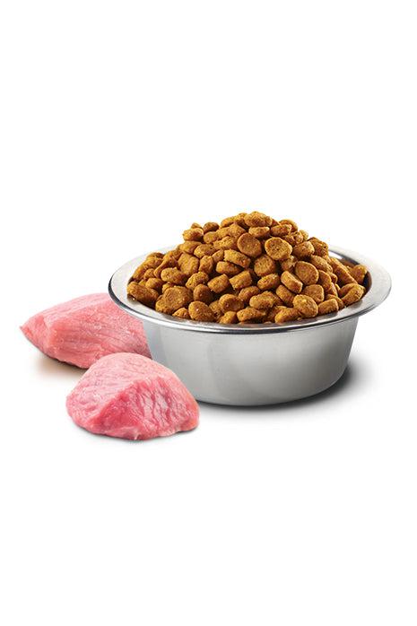 Farmina N&D Pumpkin Lamb and Blueberry Med/Maxi Dry Dog Food