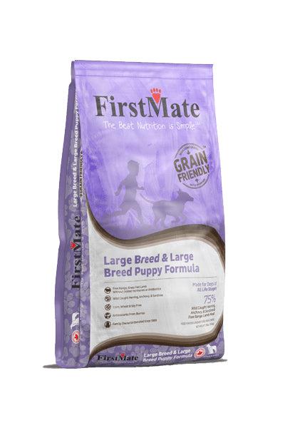 FirstMate Grain-In Large Breed Dry Puppy and Dog Food