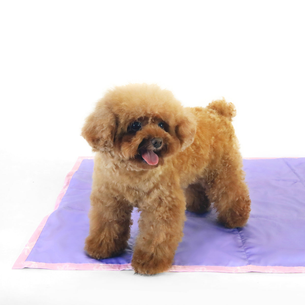 florence by mills Foldable Travel Mat for Dogs