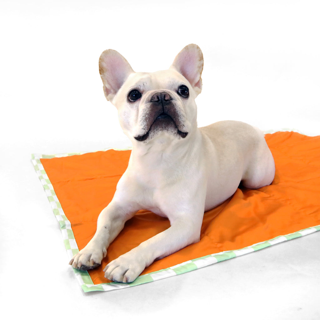 florence by mills Foldable Travel Mat for Dogs