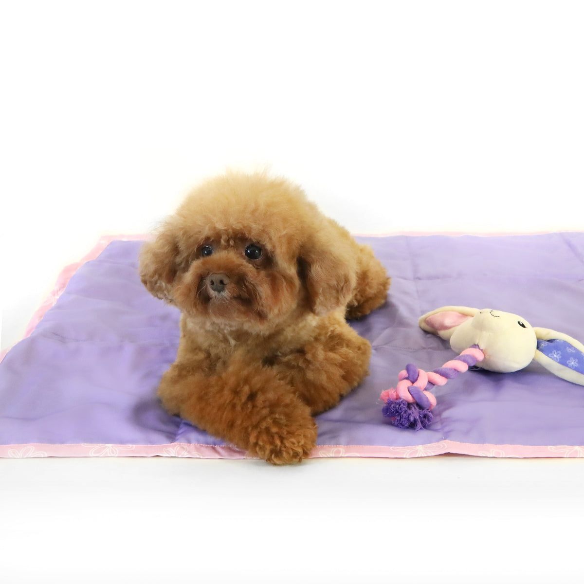florence by mills Foldable Travel Mat for Dogs