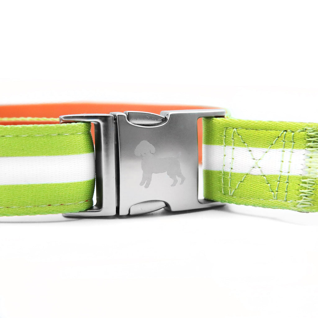 florence by mills Crossbody Dog Leash