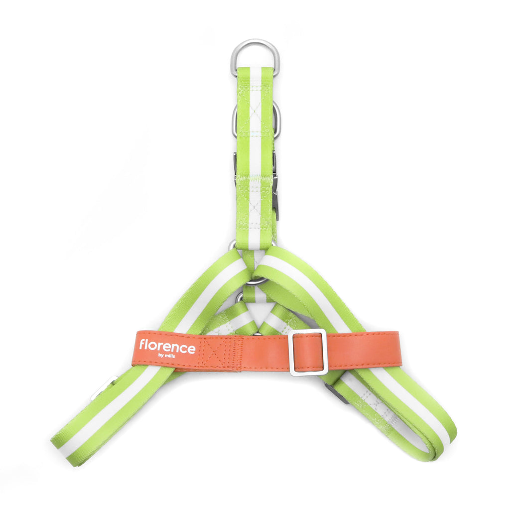 florence by mills Appleskin Leather Dog Harness