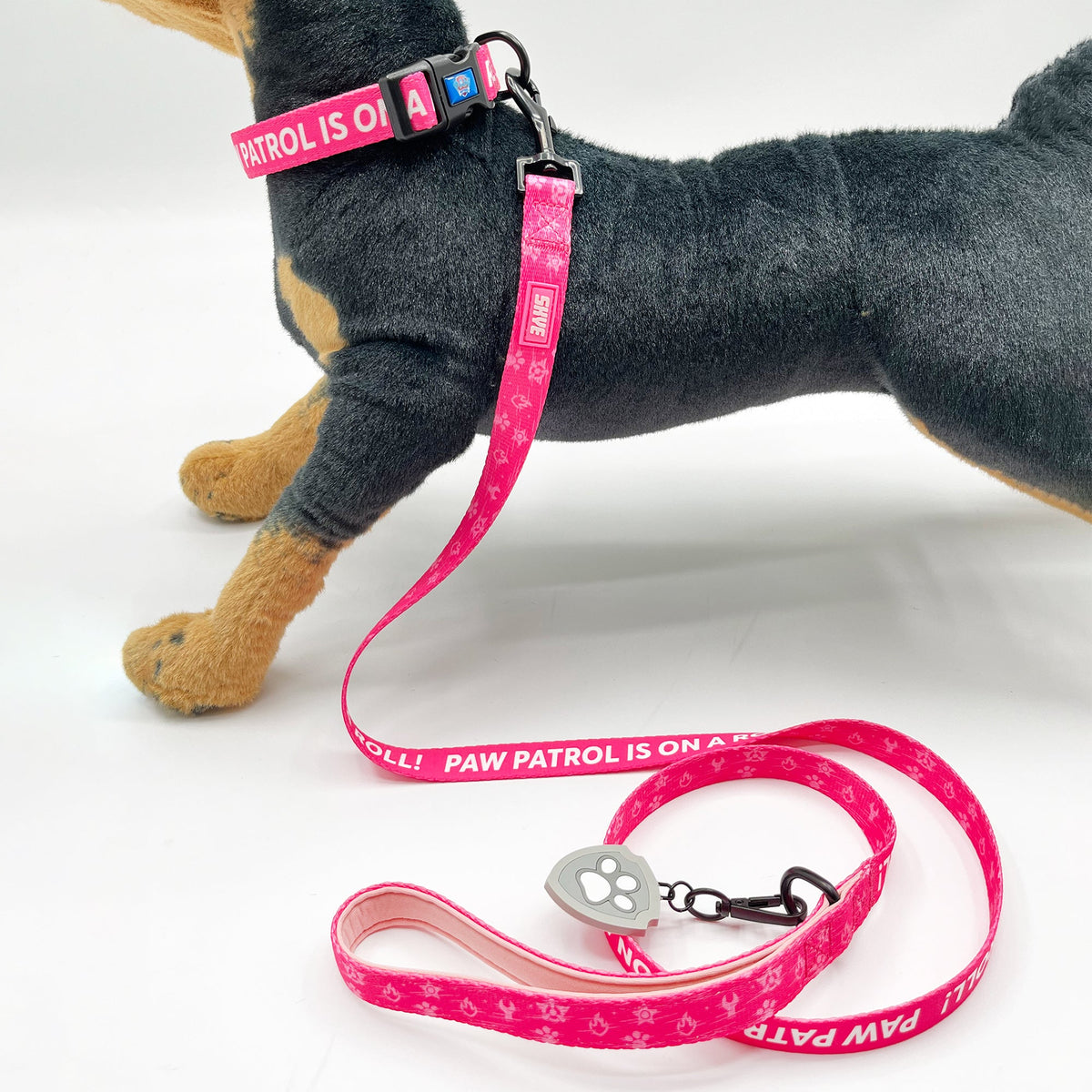 Paw Patrol: Skye Collar and Leash Set