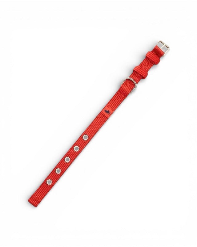 Polo Ralph Lauren Nylon Dog Collar