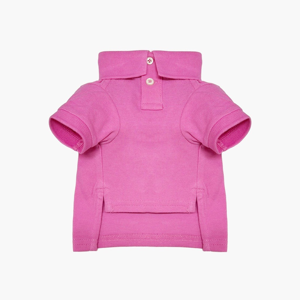 Polo Ralph Lauren Dog Polo Bear Mesh Polo