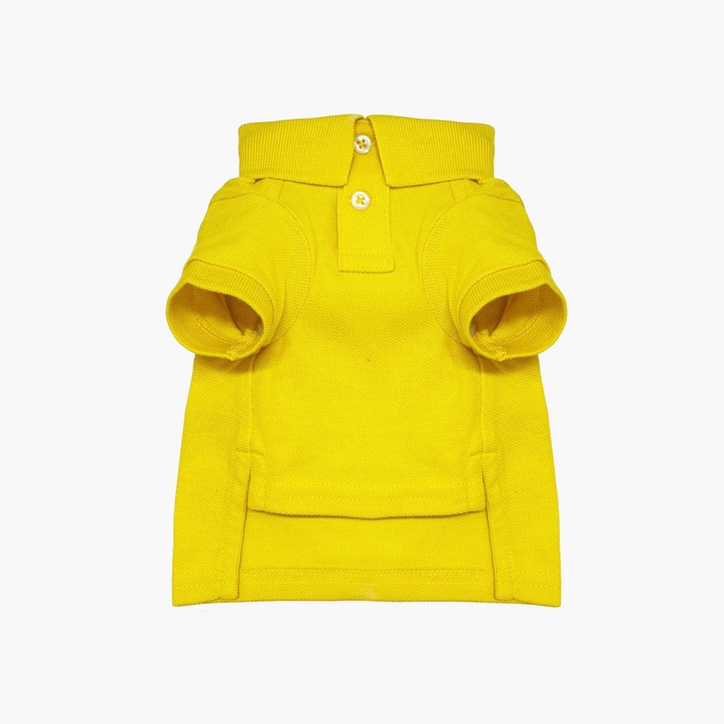 Polo Ralph Lauren Dog Polo Bear Mesh Polo