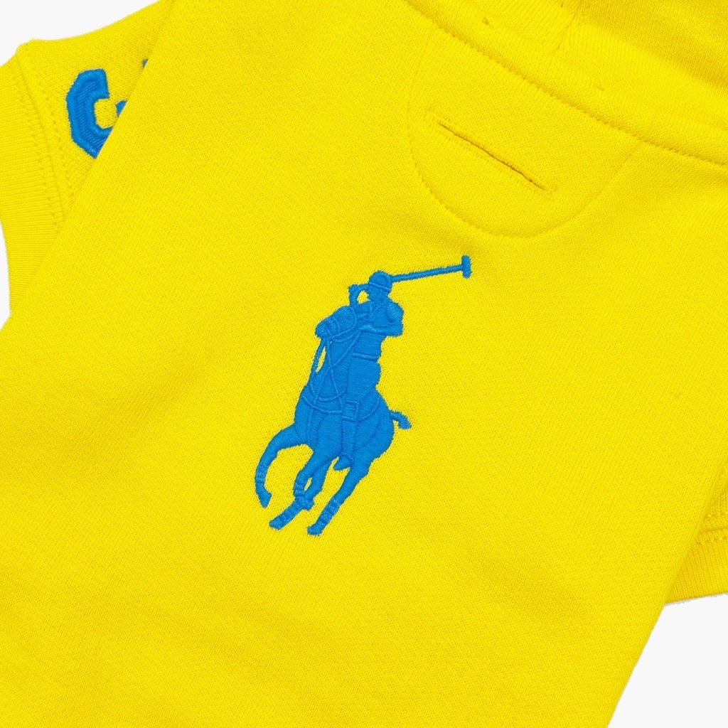 Polo Ralph Lauren Big-Pony Fleece Dog Hoodie