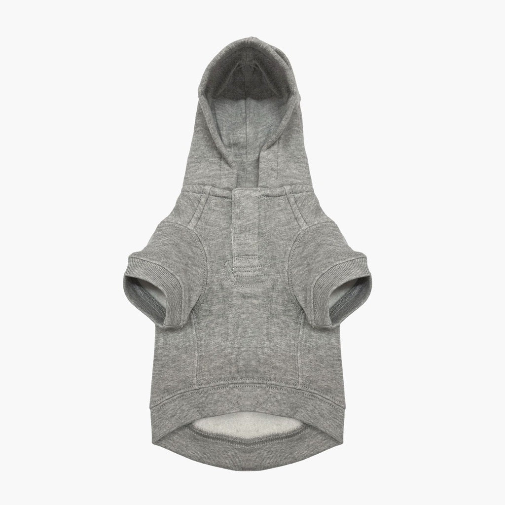 Polo Ralph Lauren Dog Polo Bear Hoodie