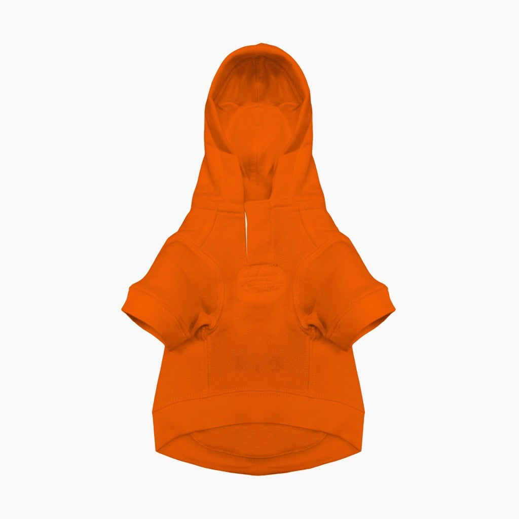Polo Ralph Lauren Dog Polo Bear Hoodie