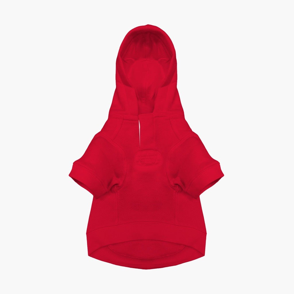 Polo Ralph Lauren Dog Polo Bear Hoodie