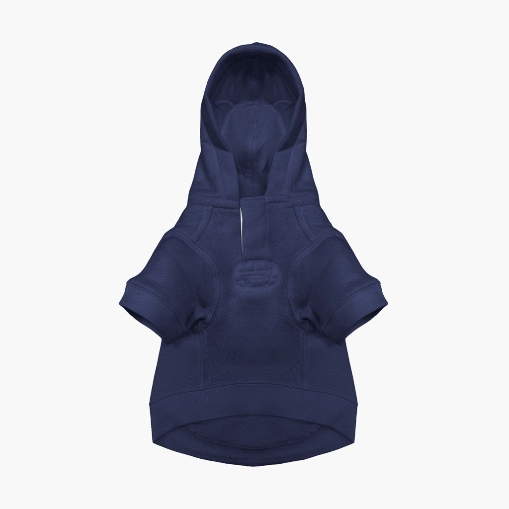 Polo Ralph Lauren Dog Polo Bear Hoodie