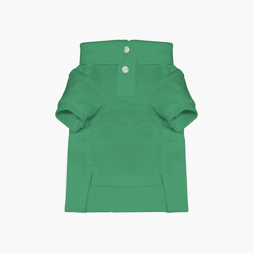 Polo Ralph Lauren Dog Polo Bear Mesh Polo