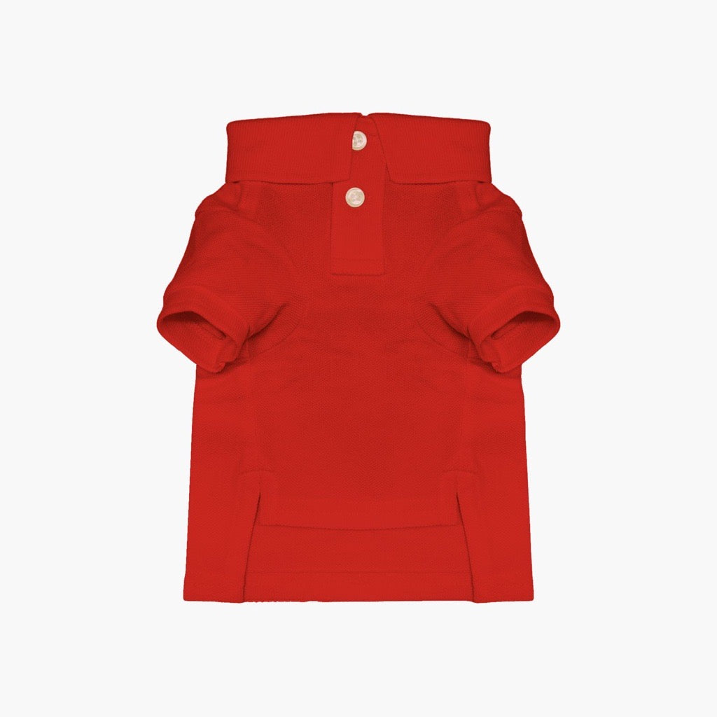 Polo Ralph Lauren Dog Polo Bear Mesh Polo