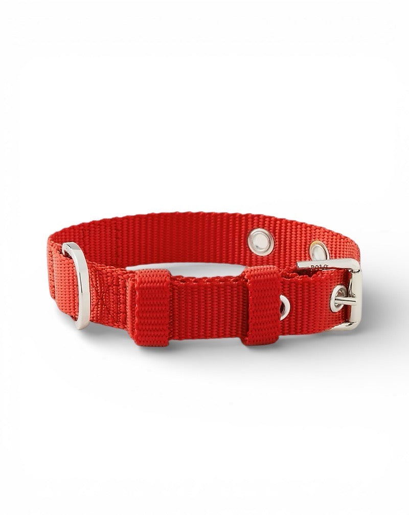 Polo Ralph Lauren Nylon Dog Collar