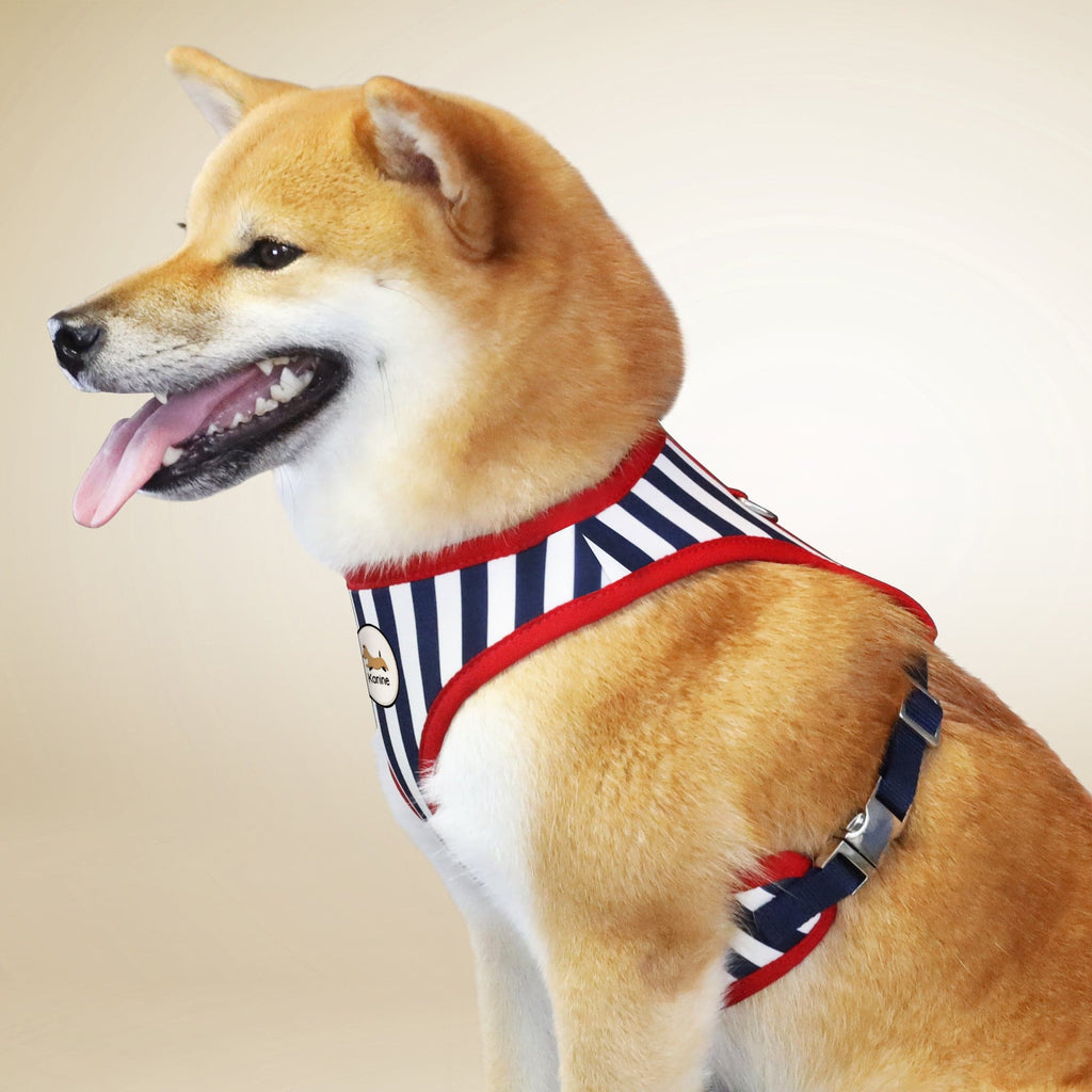 Kanine Stripe Harness