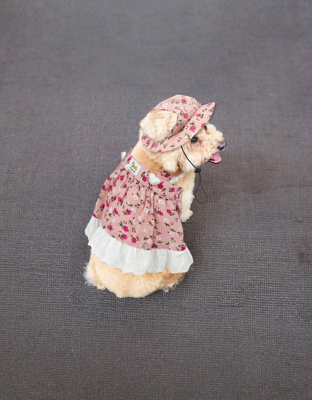Dog Floral Hat