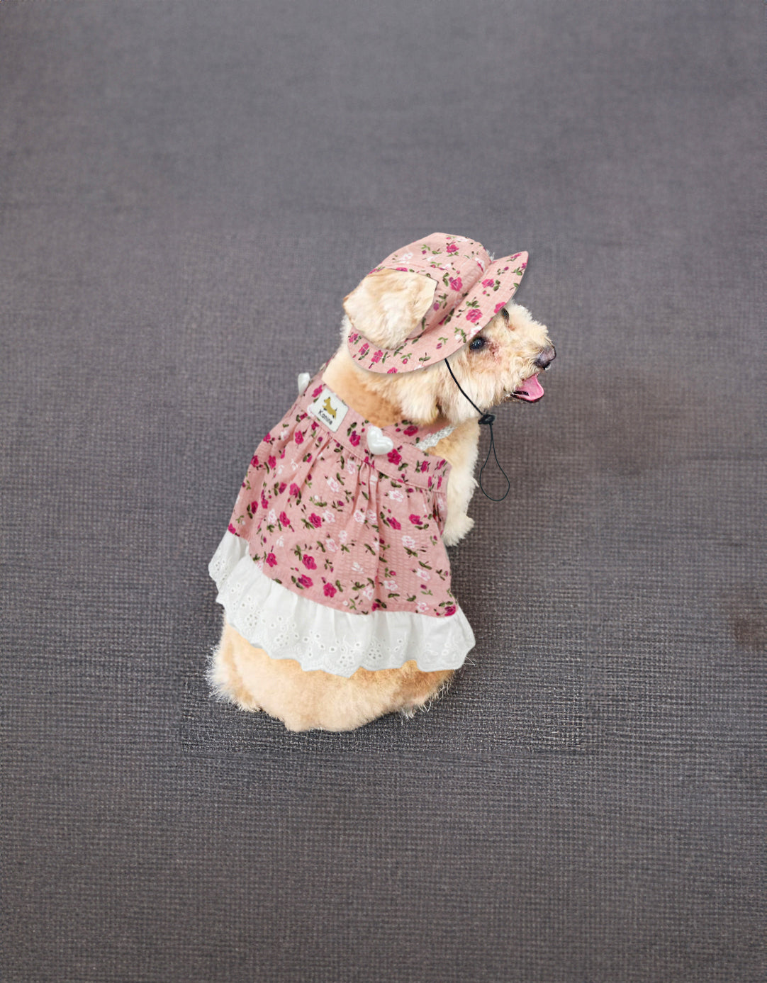 Dog Floral Hat